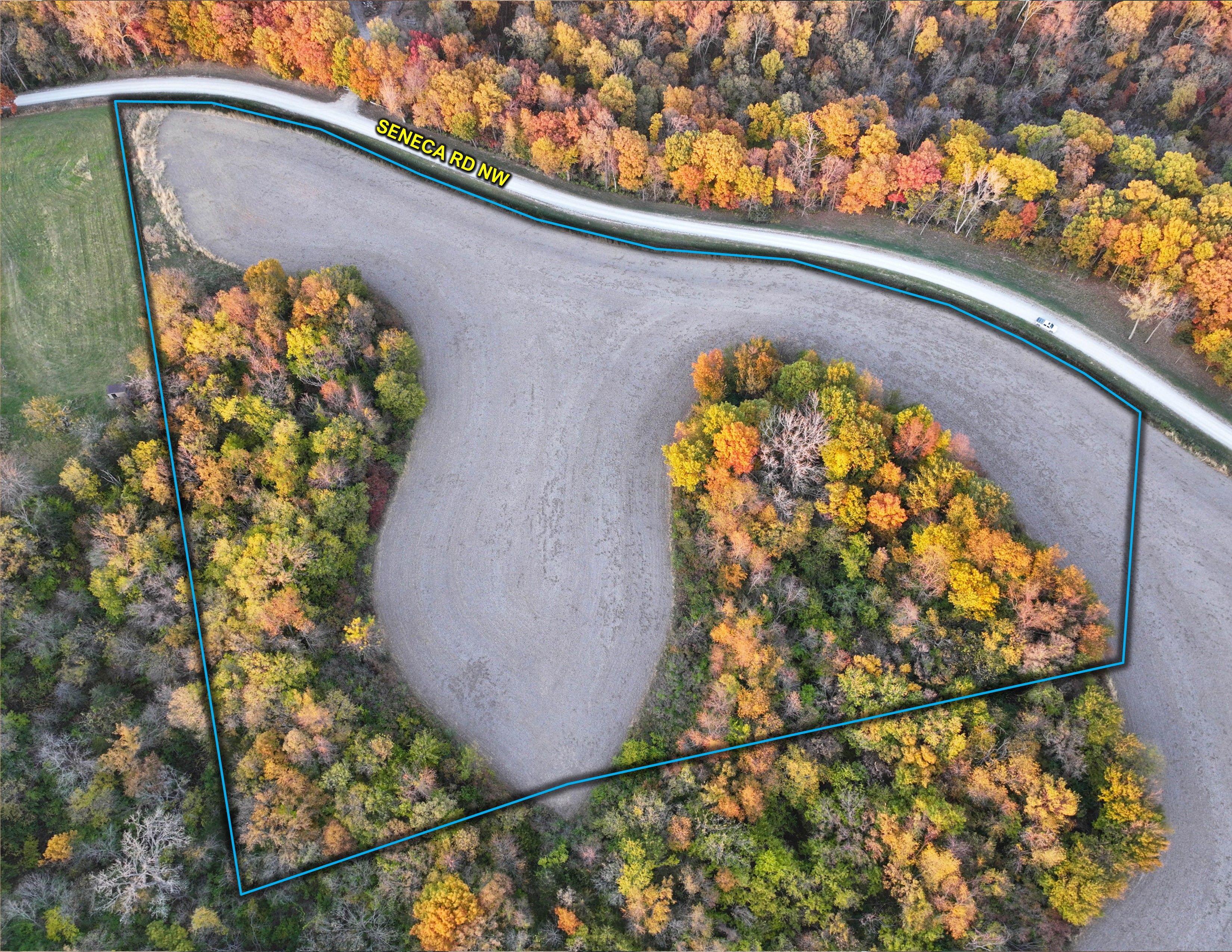 Listing Photo: Edit Brown 4